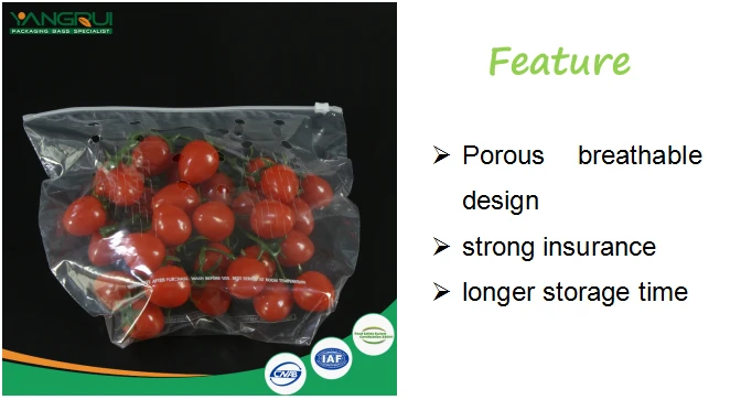 cpp plastic bag.png