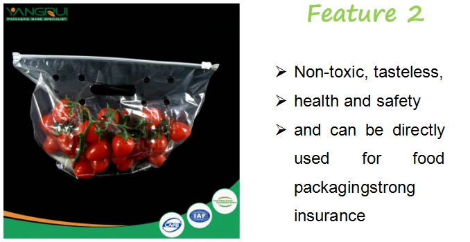 cpp fruit bag.png