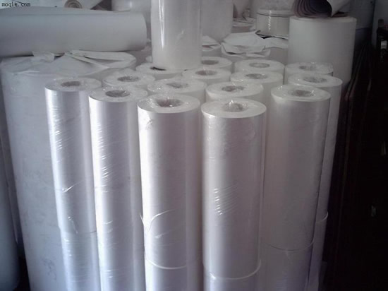 Jak identifikovat jedovatý igelitové tašky