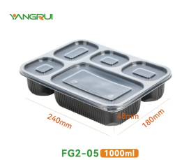 5 compartment food container