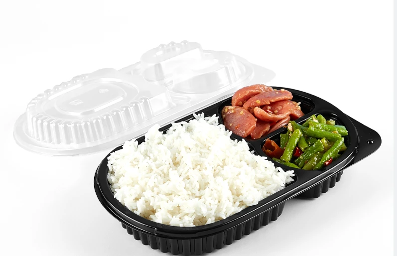 disposable lunch box