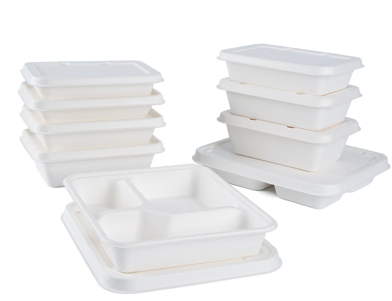 Biodegradable lunch box Biodegradable lunch box