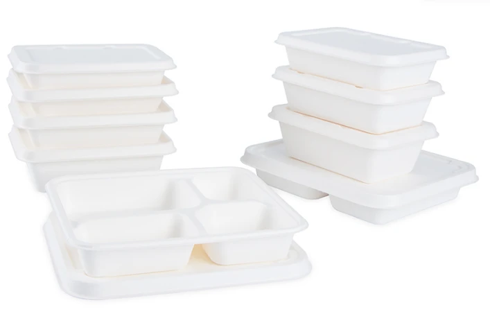 disposable lunch boxes