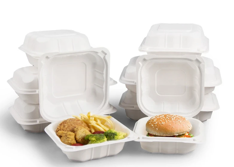 disposable lunch boxes