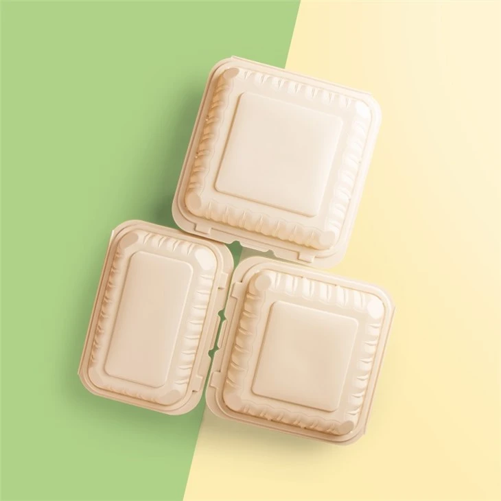 Hinged To-go Corn Starch Food Container 9x9inch