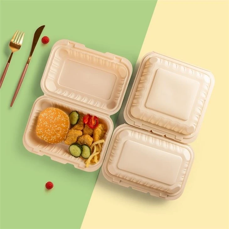 Hinged To-go Corn Starch Food Container 9x9inch