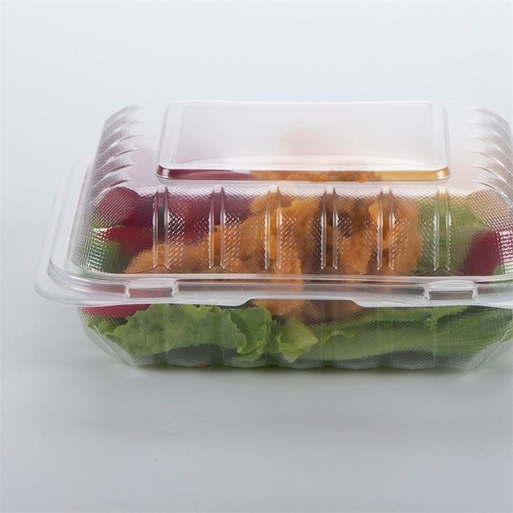 8x8inch Clear Plastic PP Hinged Take-Out Containers