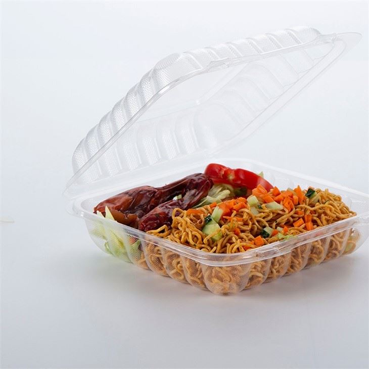8x8inch Clear Plastic PP Hinged Take-Out Containers