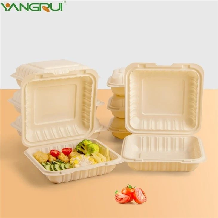 Disposable Plastic Container