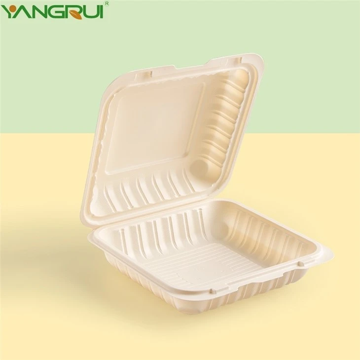 Disposable Plastic Container