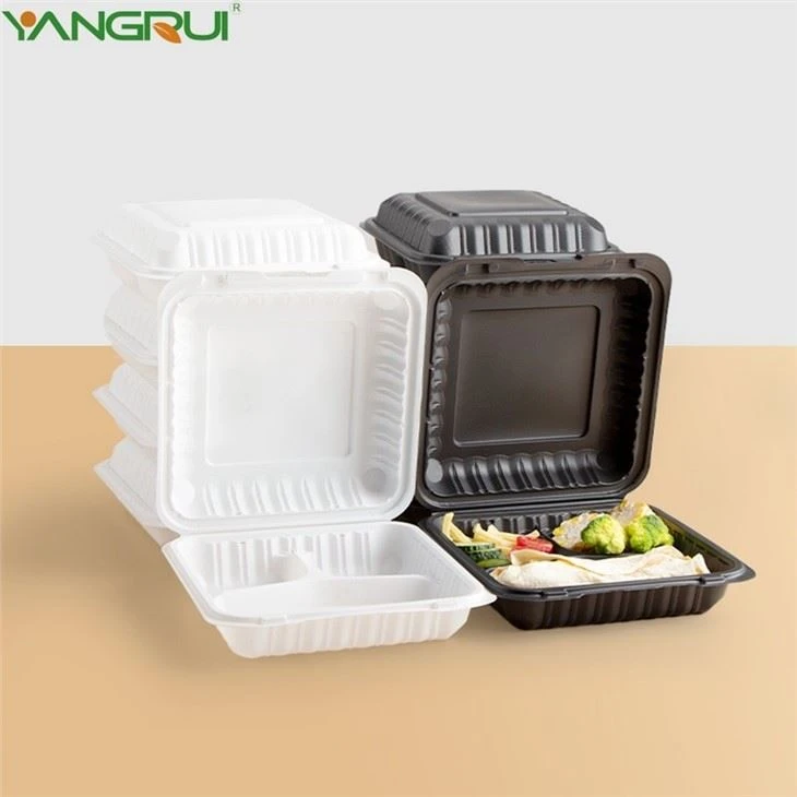 Disposable Plastic Container