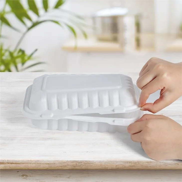 Balení Box Na Jídlo