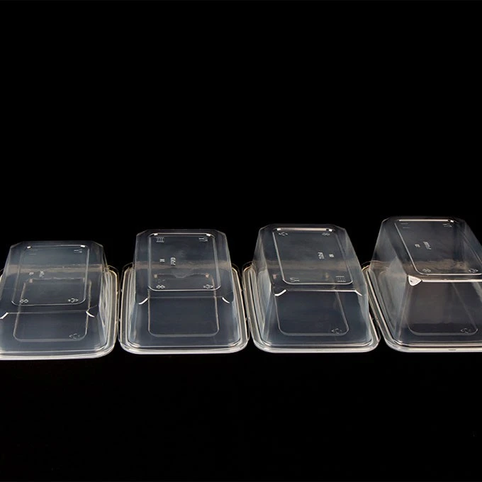 Takeaway Plastic Containers