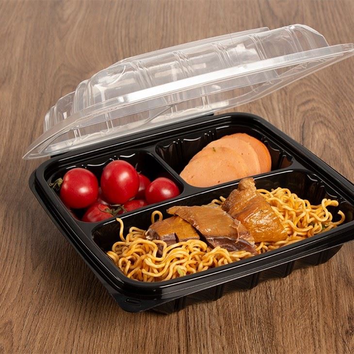 9x9'' Hinged Lid Takeout Food Container