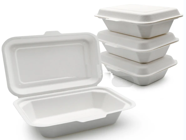 Bagasse To Go Nádoby S víky