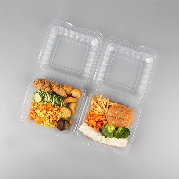 Čirý jednorázový Bento box
