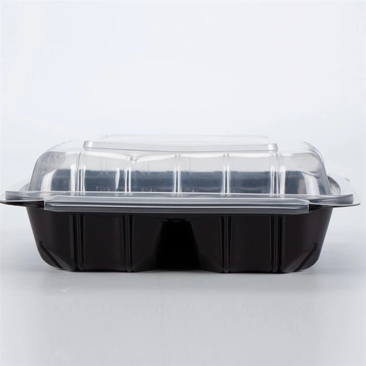 Disposable Food Storage Container