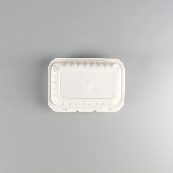 Disposable Plastic Lunch Box