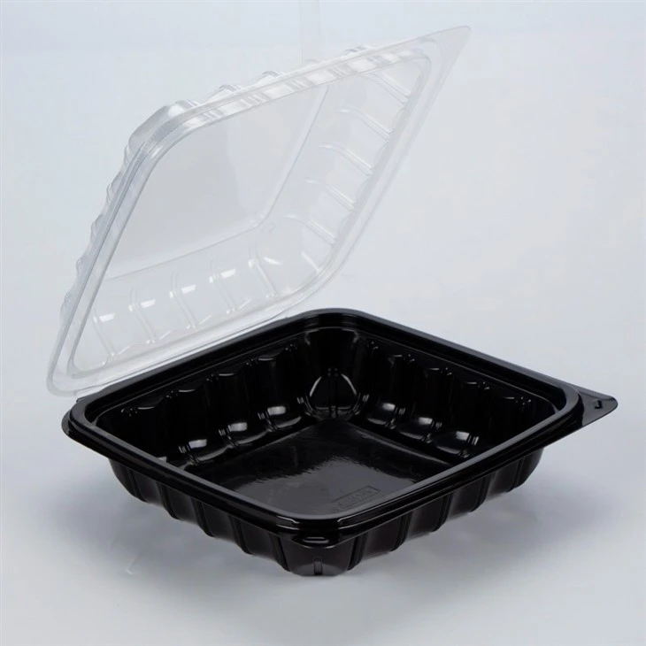 Eco Friendly Disposable Food Container