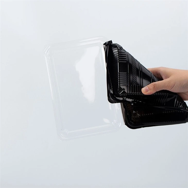 Hinged Double Color Containers