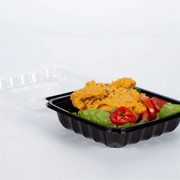 Hinged Double Color Containers