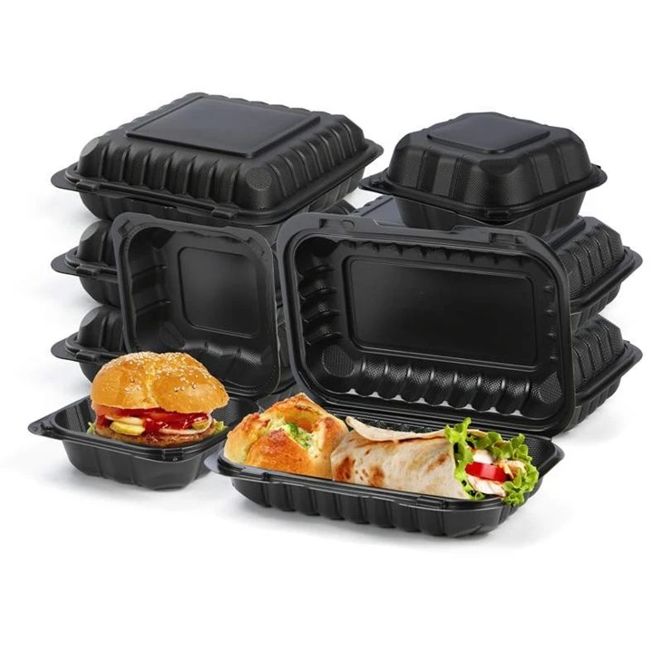 MFPP Food Container 9x6