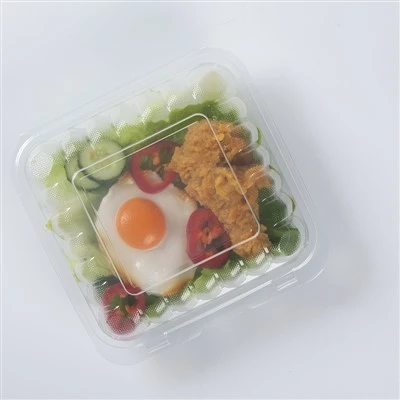Vezměte si jednorázové jídlo Bento Lunch Box