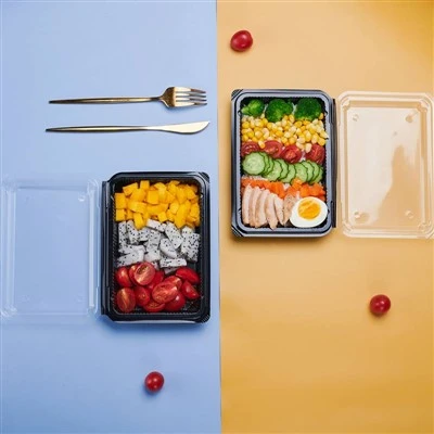 Take Away Food Container for Sushi
