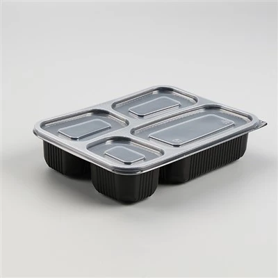 Vyjměte Bento Box