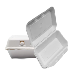 To Go Kontejnery Bagasse
