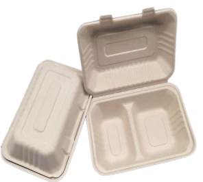 To Go kontejnery s víkem Bagasse 2kompartmenty