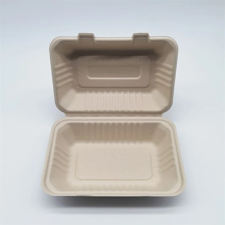 Sugarcane Bagasse Biodegradable Take Away Food Containers