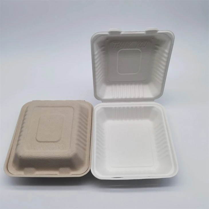 Sugarcane Bagasse Biodegradable Take Away Food Containers