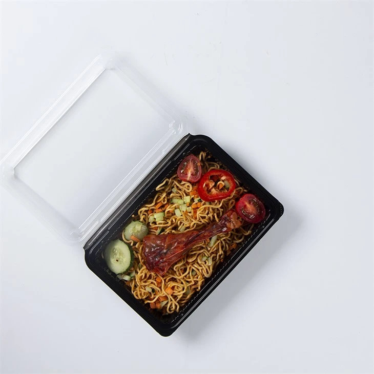 Sushi Take Away Jídlo Kontejner