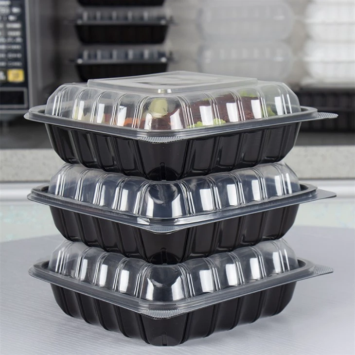 Take Away Salát Food Container