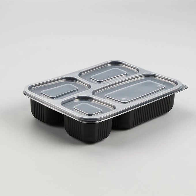 Vyjměte Bento Box