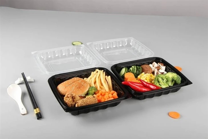 Takeaway Plastic Food Container