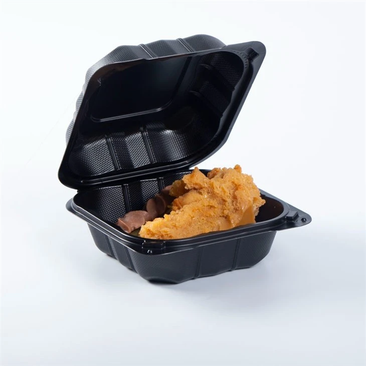 Takeou Food Box With Hinged Lid