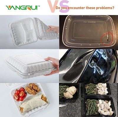 3 Compartment Hinged Lid Container