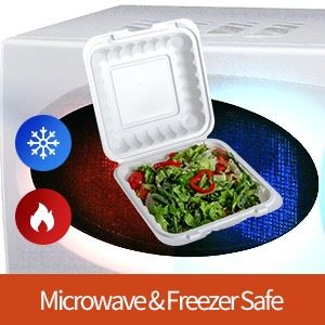 Hinged Lid Food Containers
