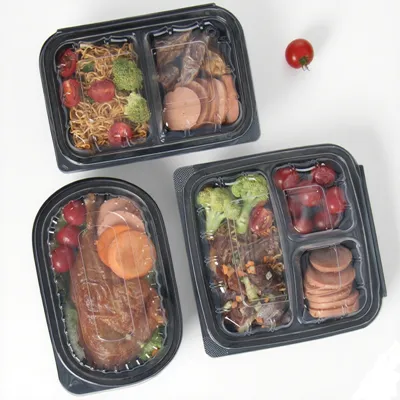 Bento Box Togo Containers Bento Box Togo Containers