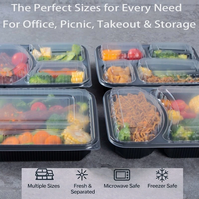 Lunch To-go Bento Box factory