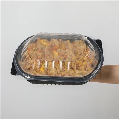 Plastic Togo Containers Plastic Togo Containers