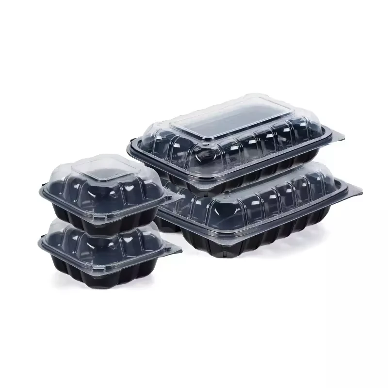 meal prep container