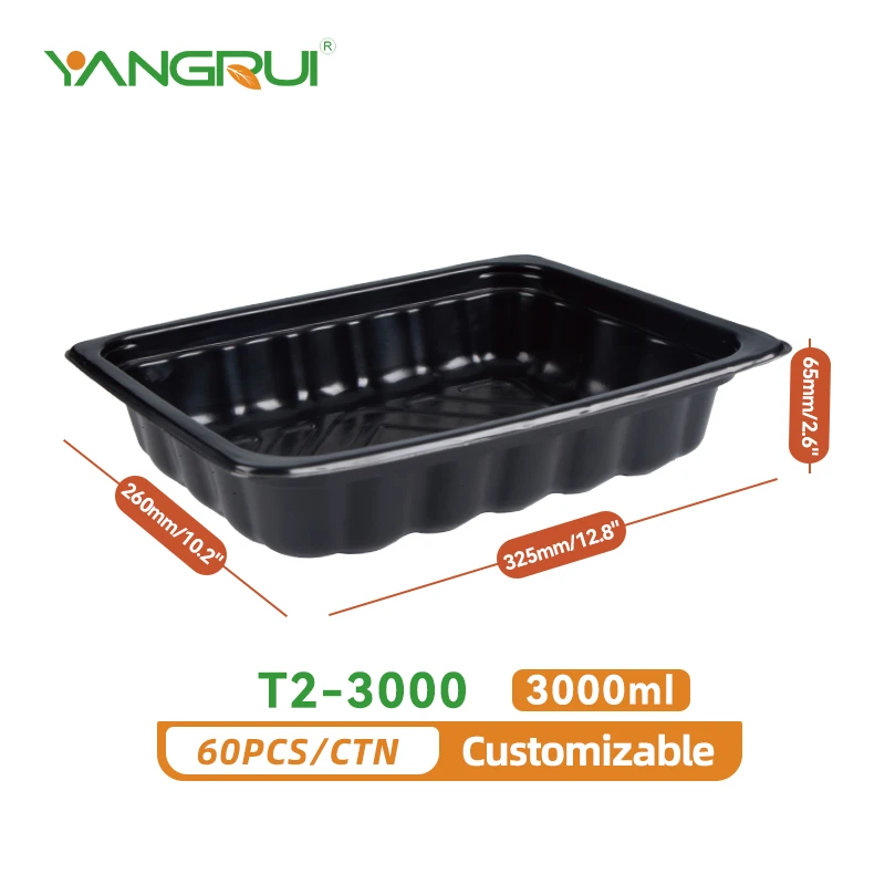 T2-3000