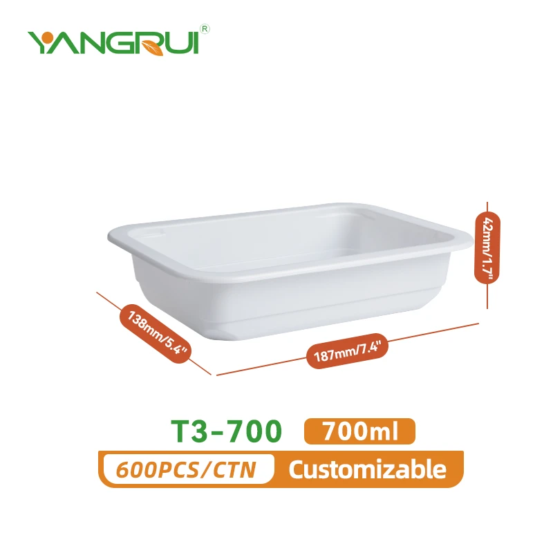 T3-700
