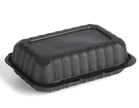 1194 9x6 Inch MFPP Hinged Food Container 9x6 Inch MFPP Hinged Food Container