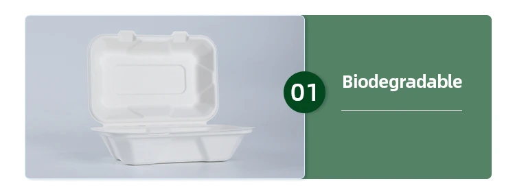 eco friendly takeaway containers