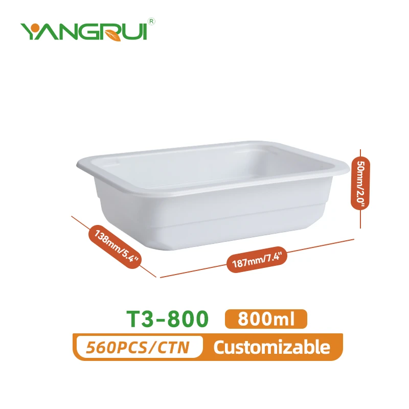 plastic food serving tray