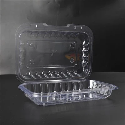 Clear Hinged Lid Container